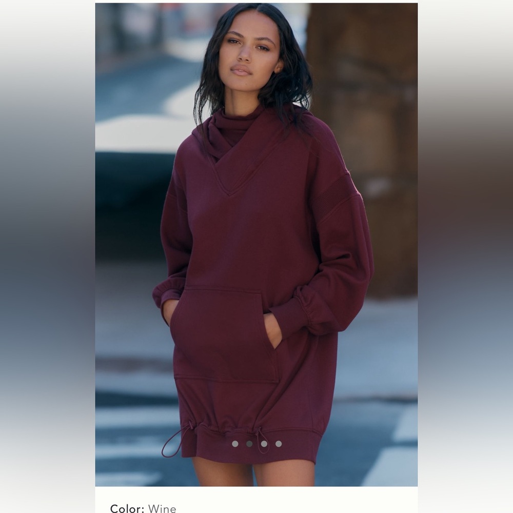 Elegant Wine Cowl Neck Hooded Mini Sweater Dress